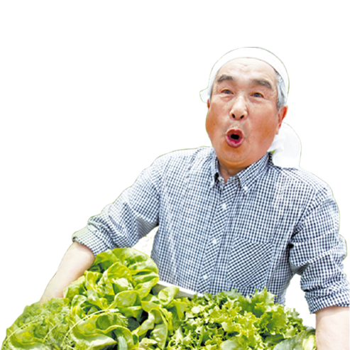 chinito_verde_nacion